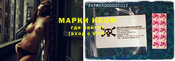 не бодяженный Новодвинск