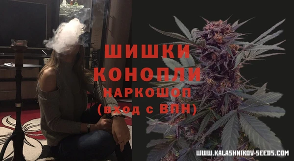 ALPHA-PVP Новозыбков