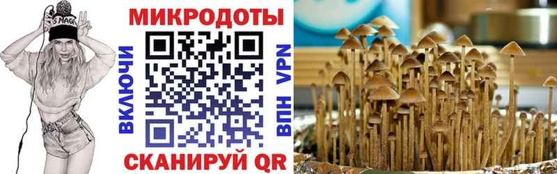 Купить где  Урай  Галлюциногенные грибы Psilocybine cubensis 